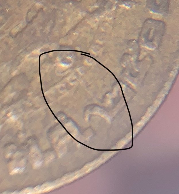 A-Running-Chain-Of-That-Coin-Dude's-World-Coin-Finds.